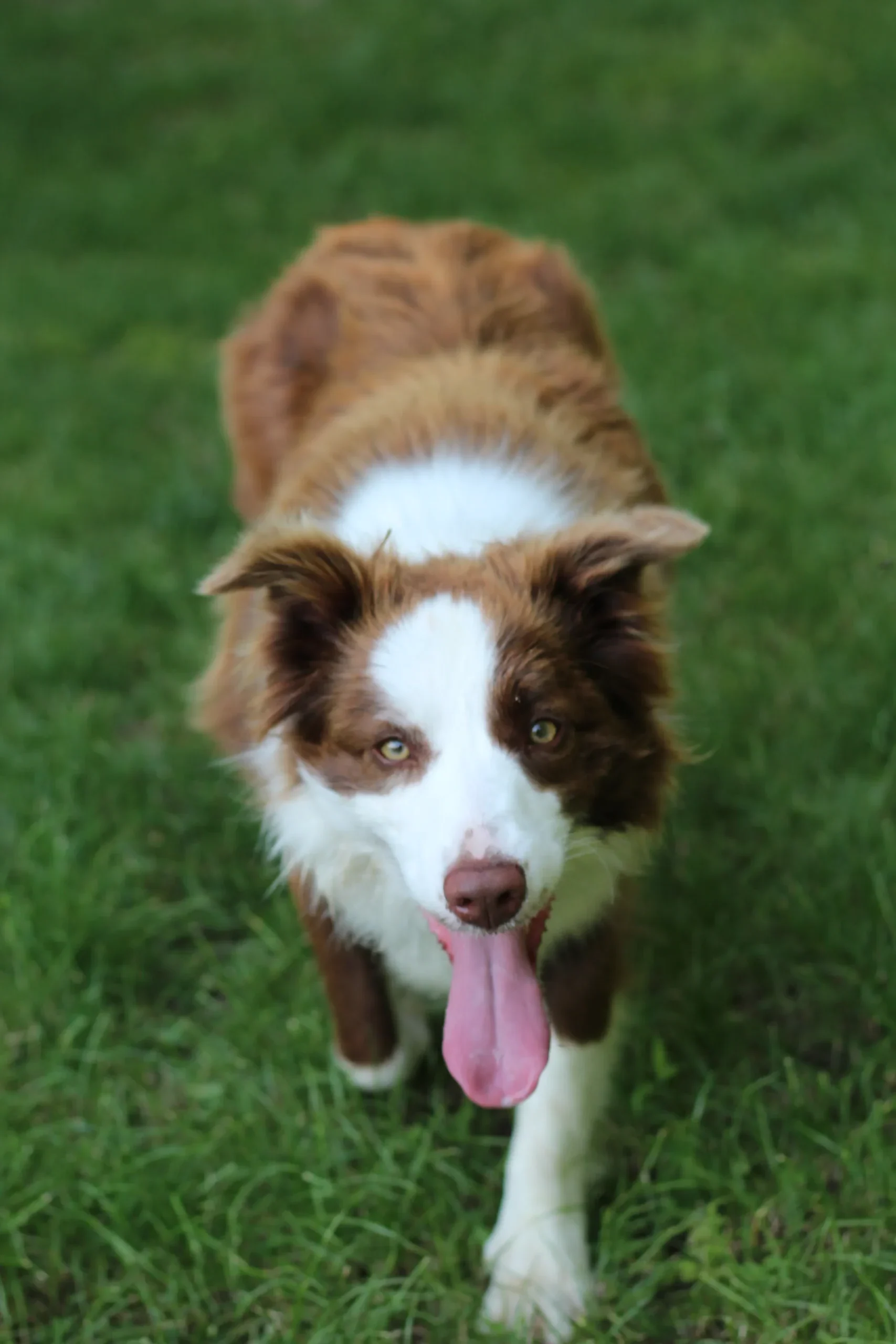 compressed_2560_IMG_9584 (2).JPG